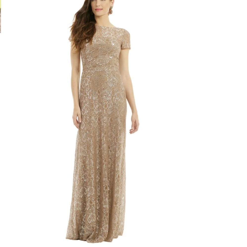 David Meister Lurex Dusted Lace Gown size 10